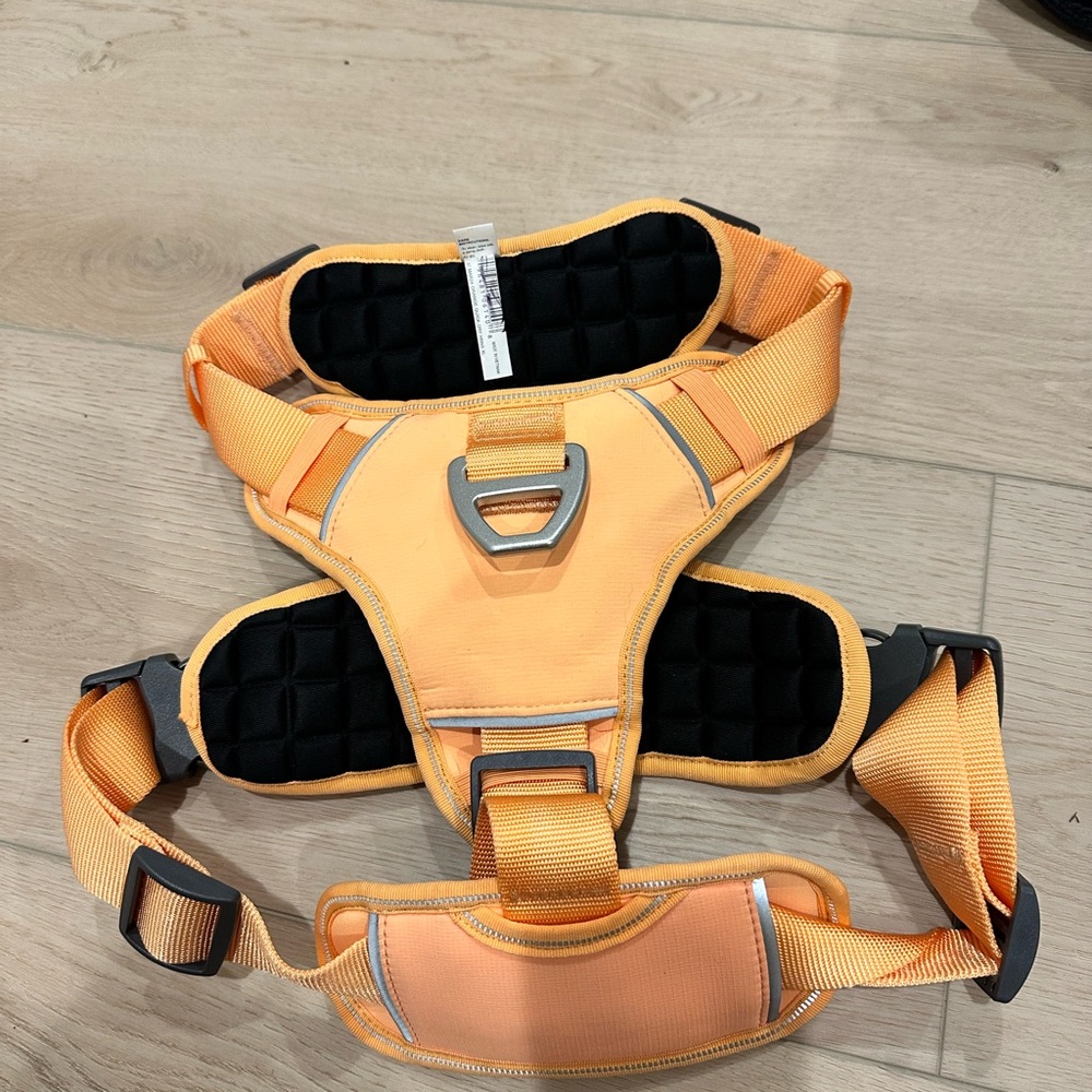Head Orange Harness with Silver Buckle XL
